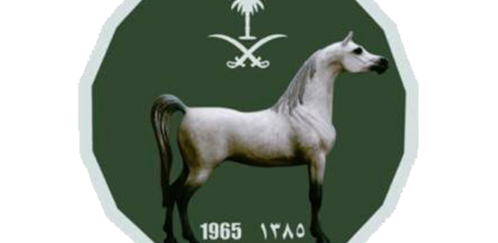 Frusiya Club